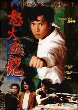 《怒火威龙》：热血硬汉，拳拳到肉！看他如何以暴制暴，伸张正义！