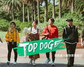 《TOP DOG》：当精英女警遇上街头疯狗，这场猫鼠游戏燃爆你的肾上腺素！